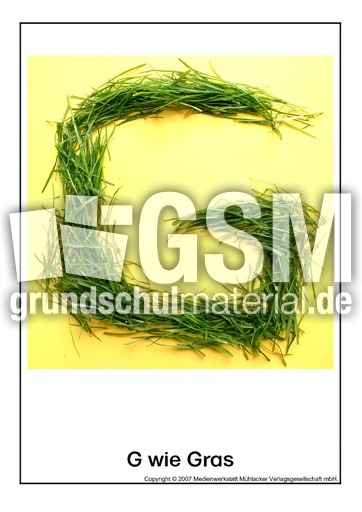 G-wie-Gras.pdf